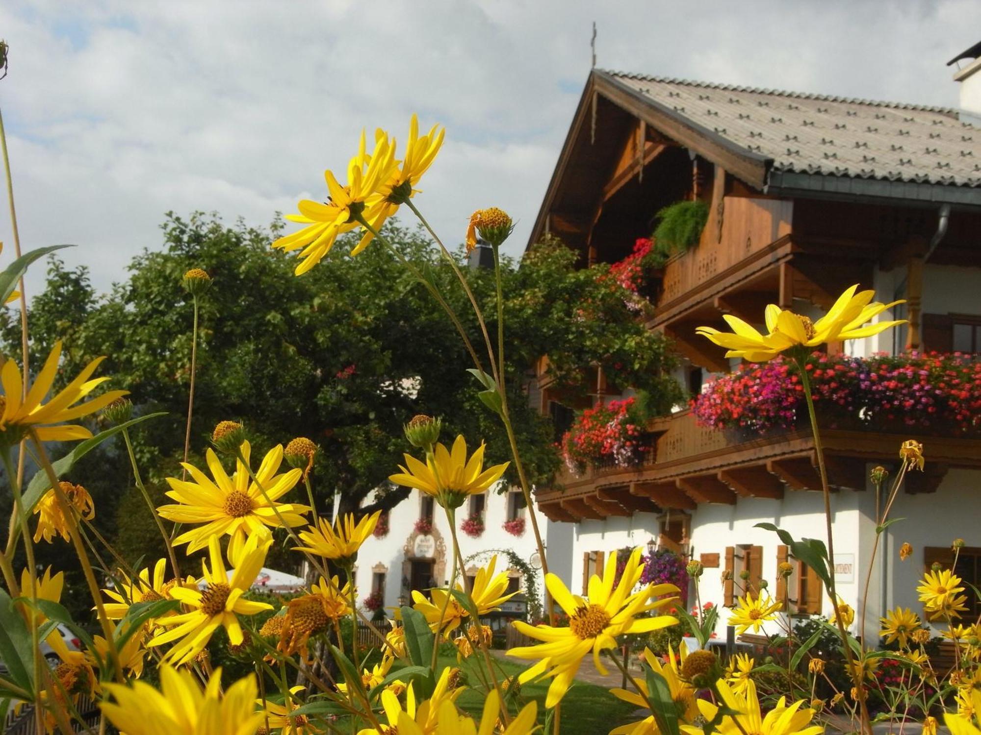 Hofbauer Villa Itter Dış mekan fotoğraf