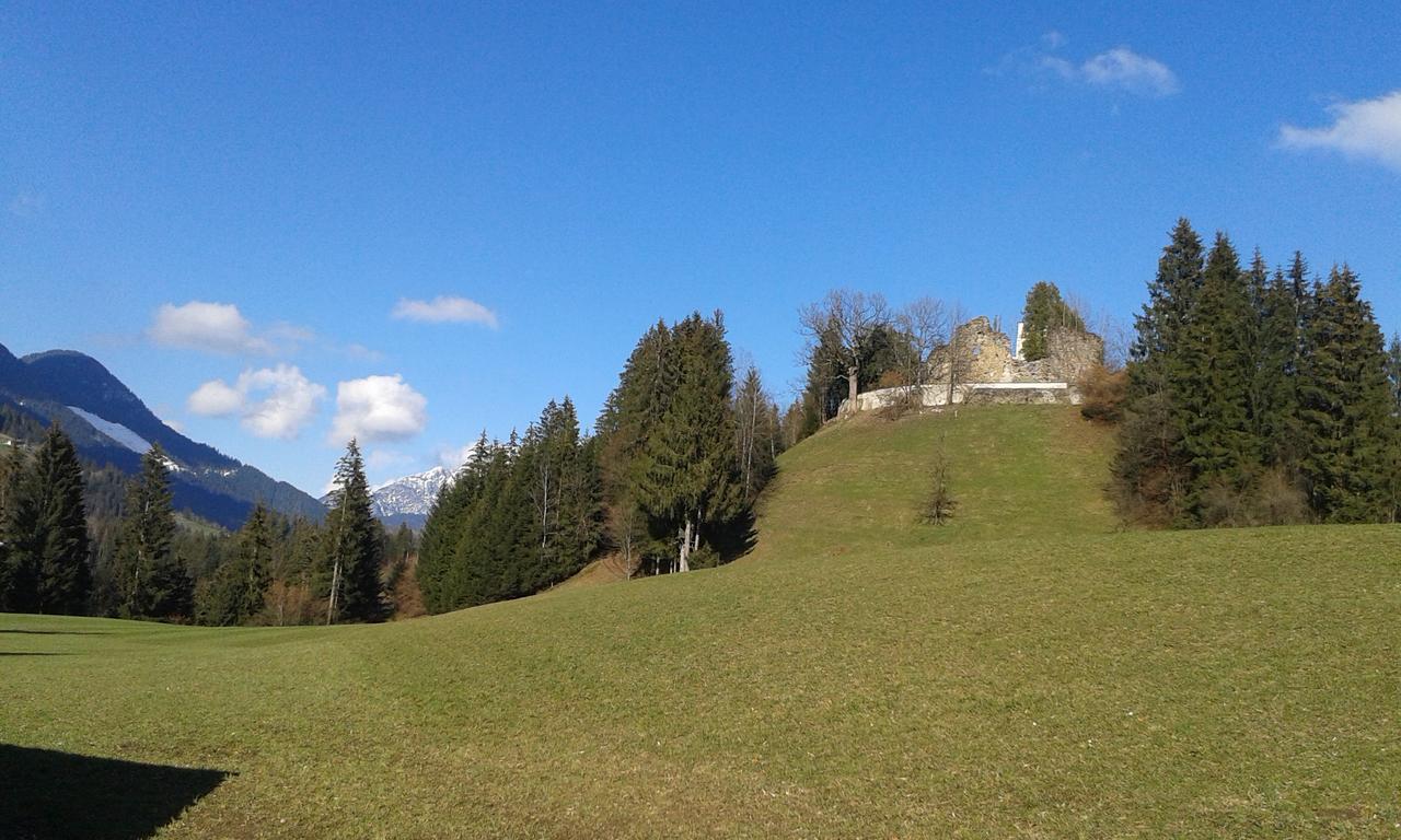 Hofbauer Villa Itter Dış mekan fotoğraf