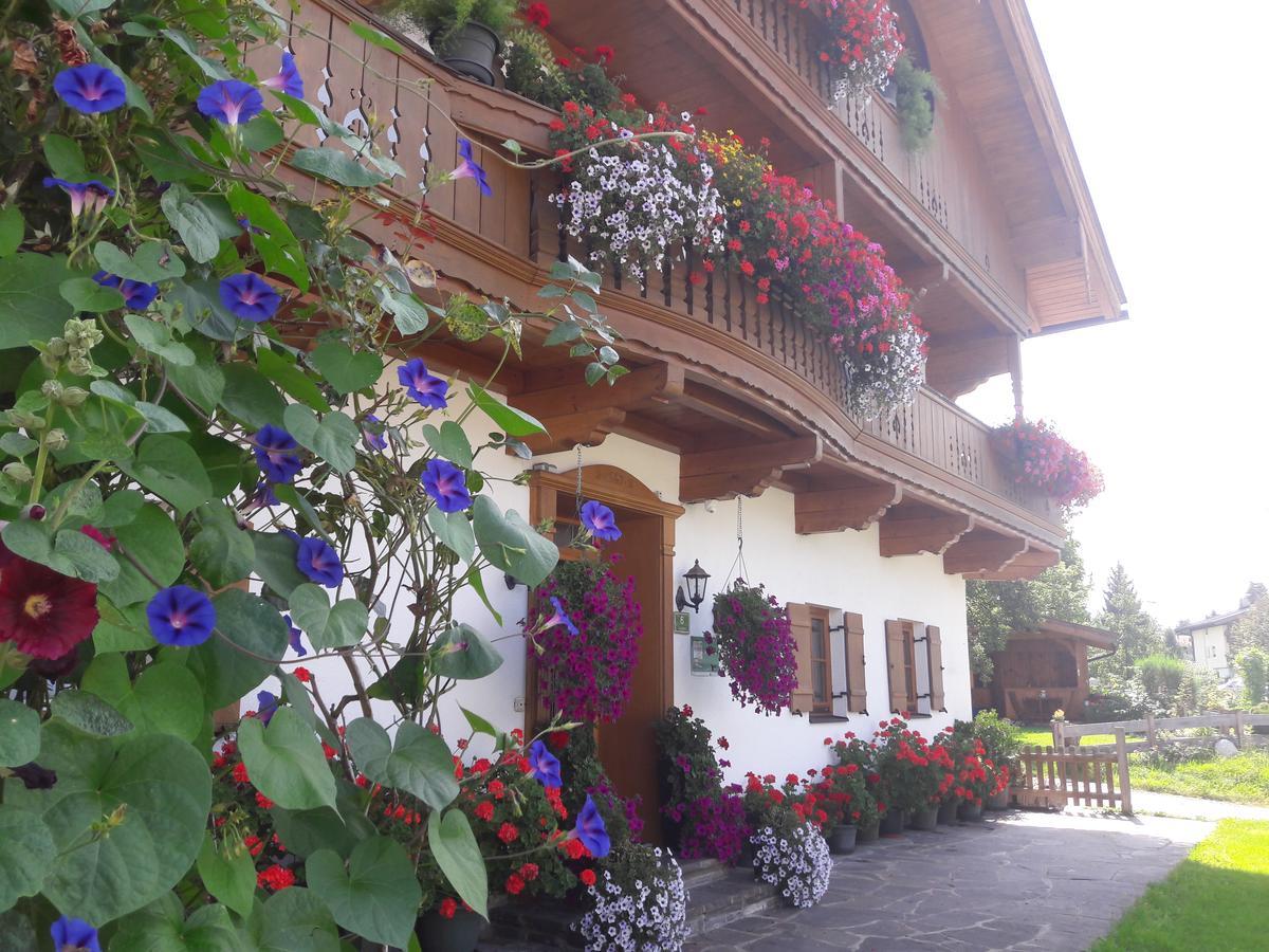 Hofbauer Villa Itter Dış mekan fotoğraf