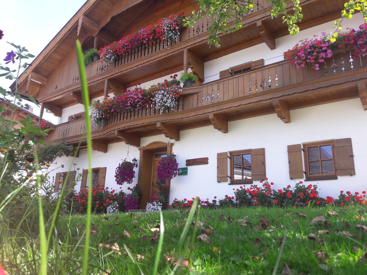 Hofbauer Villa Itter Dış mekan fotoğraf