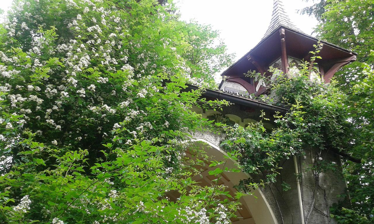 Hofbauer Villa Itter Dış mekan fotoğraf